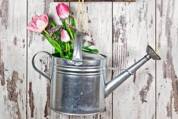 deko-idee-gießekanne-blumen-diy
